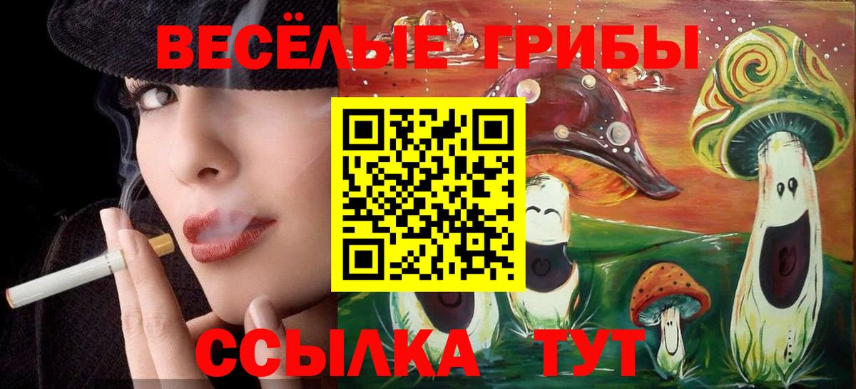 Семилуки  Галлюциногенные грибы ЛСД  Вход с VPN 