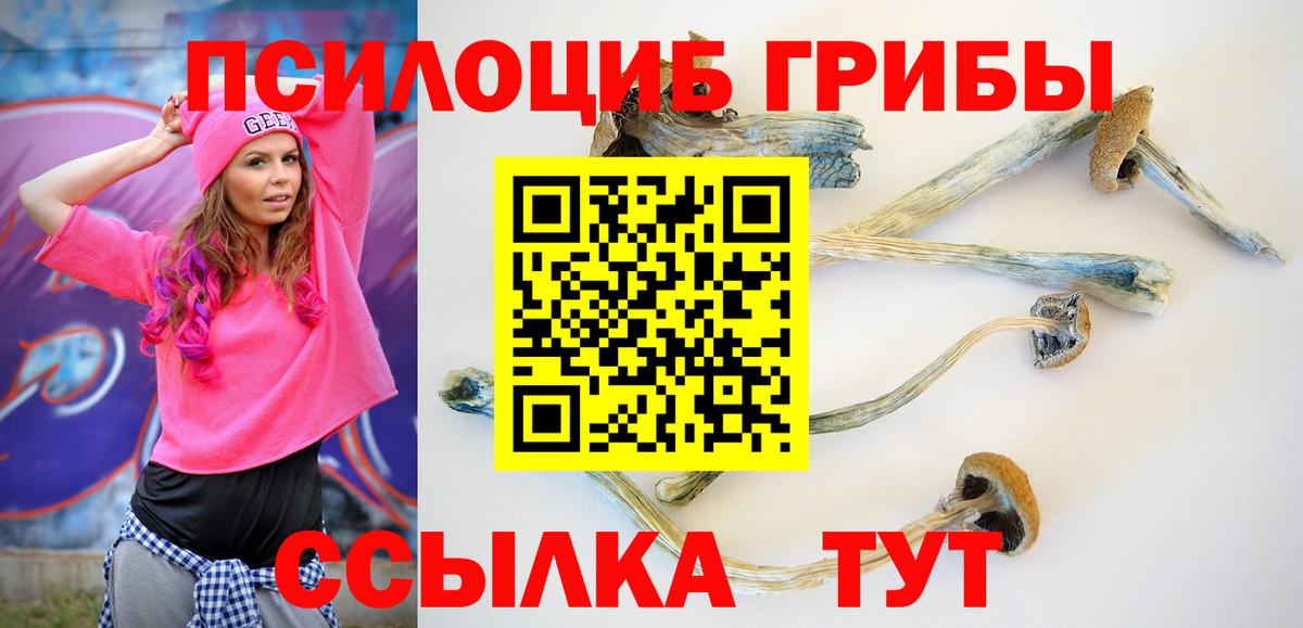Галлюциногенные грибы GOLDEN TEACHER Семилуки
